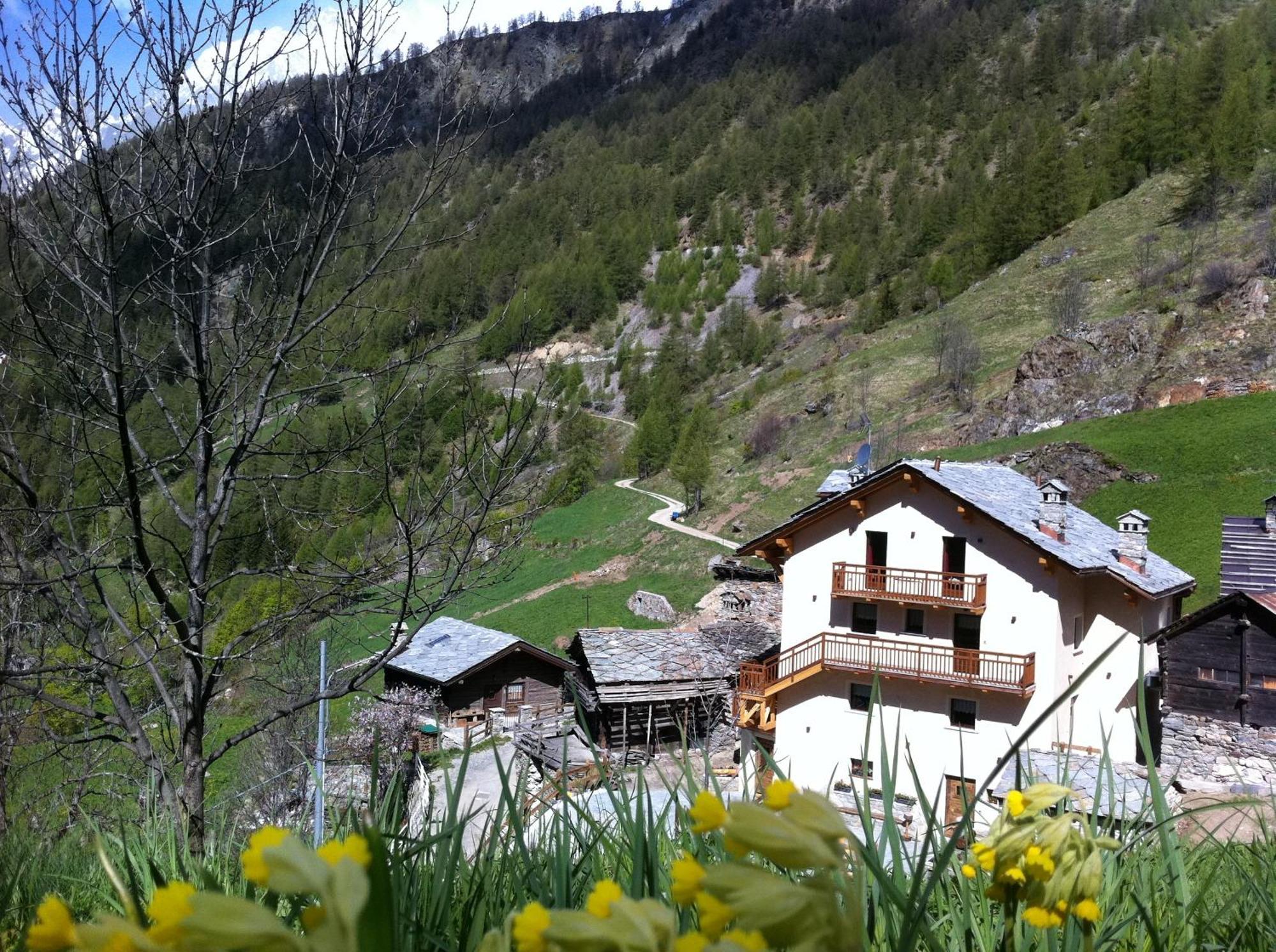 Alpe Rebelle Bed and Breakfast Bionaz Eksteriør billede